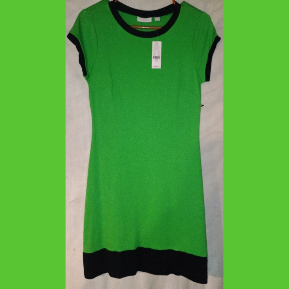 New York & Company Green and Black Dress